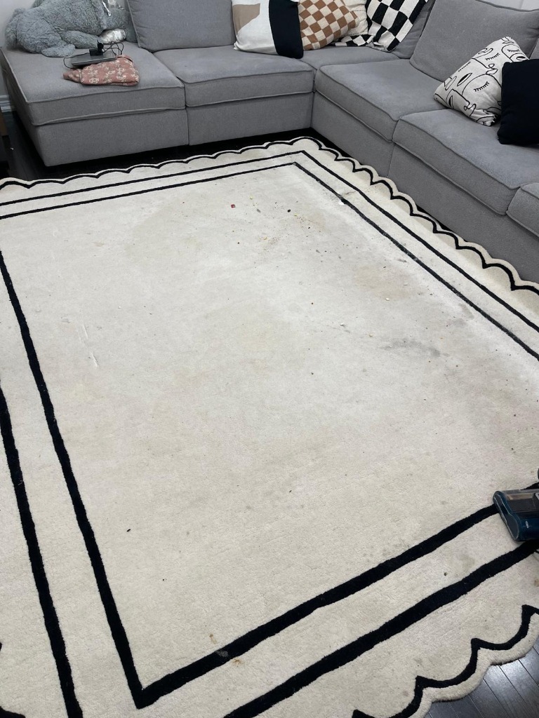 Area Rug Revival Before